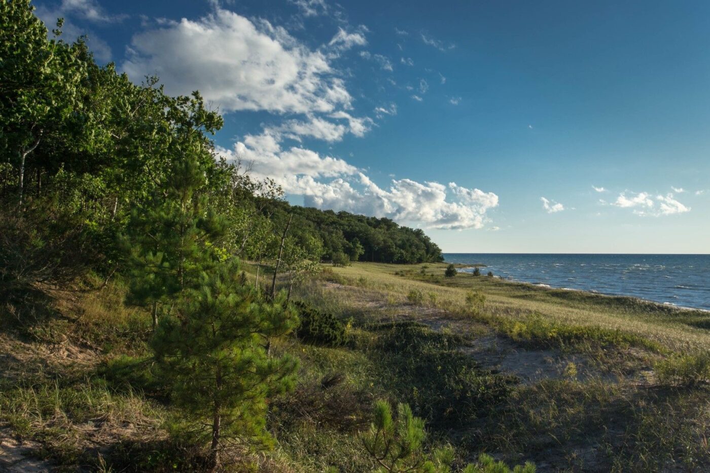 Little Traverse Conservancy